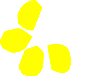 ハネイスポーツ